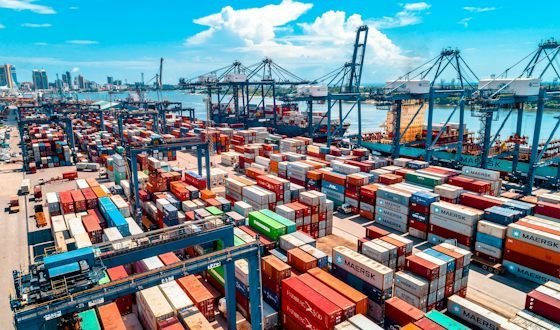 Customs Seizures Rise 24% — Enforcement Is Working, Slowly